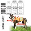 Soft shell Waterproof Dog Vest L Size Hi Visibility Reflective Jacket with Light Fleece Lining. Ideal in Cooler Climates. Blaze Orange Fabric Protects